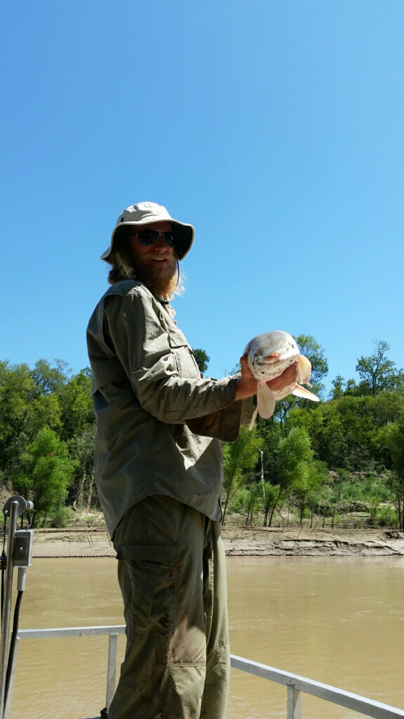 Fly Fishing for Alligator Gar, Trinity River Fishing